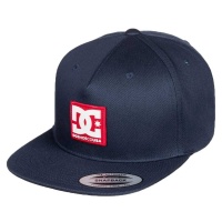 dc_shoes_snapdripp_black_iris_1