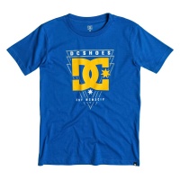 dc_shoes_t-shirt_master_surf_the_web_1