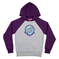 santa_cruz_hood_youth_dot_reflection_purple_1