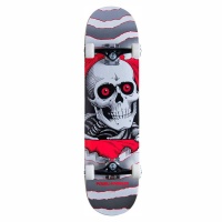 skateboard_completo_powell_peralta_ripper_one_off_silver_8_0_1