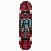 skateboard_completo_powell_peralta_vallely_elephant_birch_pink_8_25_1