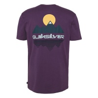 t_shirt_quiksilver_reflect_tee_purple_plumeria_1