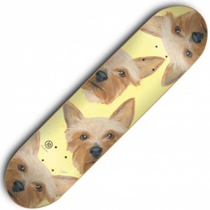 3d_skateboard_brian_anderson_collie_lloyd_2