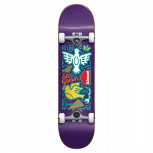 almost_skateistan_sky_doodle_fp_purple_7_875_1