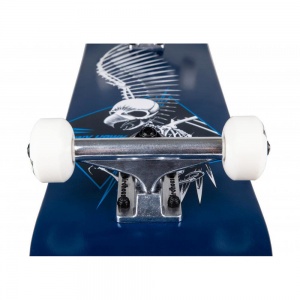 birdhouse_complete_stage_1_full_skull_2_blue_7_5_3