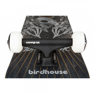 birdhouse_complete_stage_3_hawk_wings_black_7_75_3