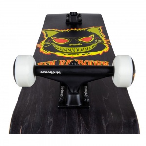 birdhouse_complete_stage_3_raybourn_cat_black_8_2