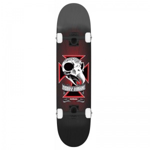 birdhouse_stage_3_skull_ii_1