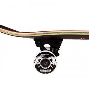 birdhouse_stage_3_skull_ii_5