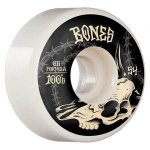 bones_wheels_100_s_desert_skull_v4_54_mm_1