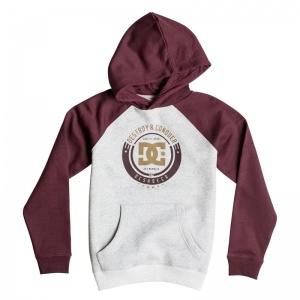 dc_kids_smashed_ph_raglan_boy_1