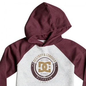 dc_kids_smashed_ph_raglan_boy_3