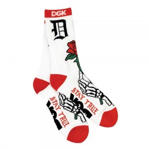 dgk_skateboards_eternal_sock_white_4
