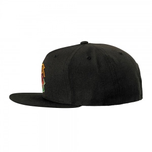 dgk_skateboards_guadalupe_snapback_black_3