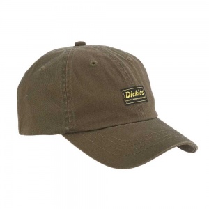 dickies_aspinwall_cap_dark_khaki_2