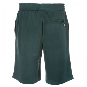 dickies_niland_shorts_green_gables_2