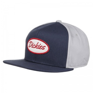 dickies_sherwood_starter_cap_stone_1