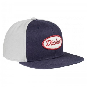dickies_sherwood_starter_cap_stone_3