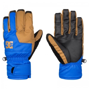 edyhn03017_segerglovep_bqr0_frt1