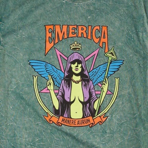 emerica_manere_aurum_wash_tee_green_2