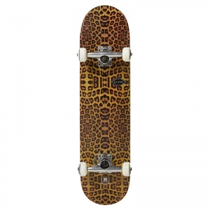 globe_complete_full_on_leopard_1