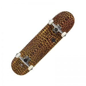 globe_complete_full_on_leopard_3