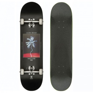 globe_palm_off_complete_2