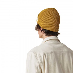 globe_sustain_beanie_honey_5