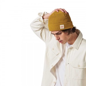 globe_sustain_beanie_honey_6