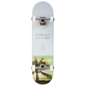 globe_varsity_palm_fog_1
