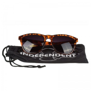 independent_havana_brown_tortoises_4