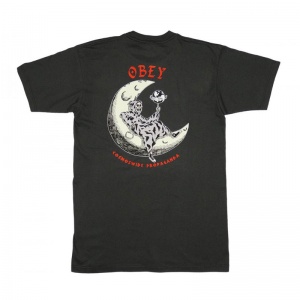 obey_t-shirt_cosmos_wide_basic_graphite_1