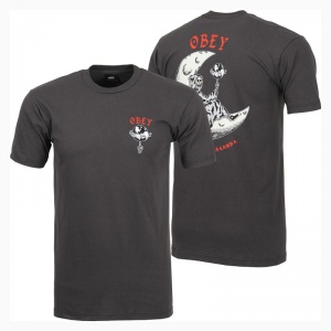 obey_t-shirt_cosmos_wide_basic_graphite_4