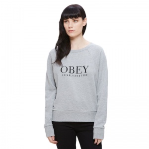 obey_vanity_specialty_fleece_heather_grey_4