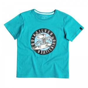 quiksilver_boys_t_shirt_classic_tee_boy_balou_viridine_green_1