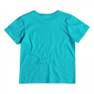 quiksilver_boys_t_shirt_classic_tee_boy_balou_viridine_green_2