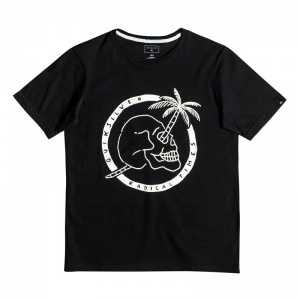 quiksilver_boys_t_shirt_classic_tee_youth_palm_skull_black_1
