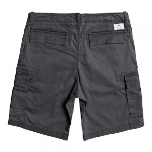 quiksilver_shorts_ichaca_iron_gate_2