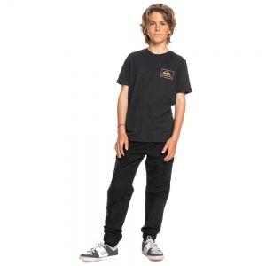 quiksilver_youth_back_to_cargo_pant_black_8