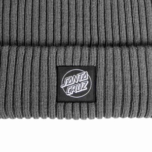 santa_cruz_opus_dot_label_beanie_flint_2