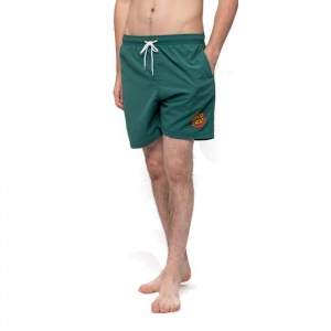 santa_cruz_shorts_classic_dot_swimshort_evergreen_3