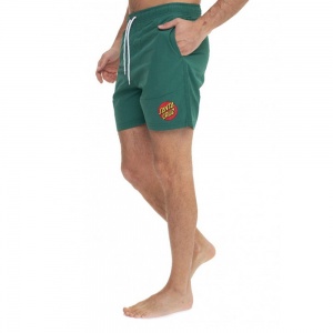 santa_cruz_shorts_classic_dot_swimshort_evergreen_4