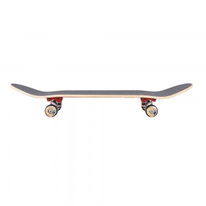 santa_cruz_skate_complete_big_dot_sk8_8_25_4