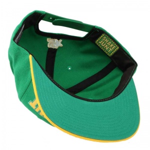 shake_junt_sj_mainline_starter_snapback_green_yellow_3