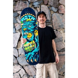 skate_deck_santa_cruz_pro_asta_space_cat_twin_8_2_4