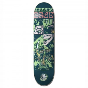 skate_element_space_case_madars_8_5_1