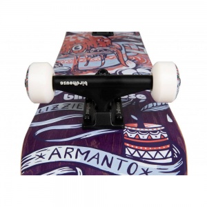skateboard_birdhouse_complete_stage_3_armanto_favorites_7_75_3