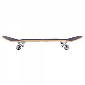 skateboard_complete_dgk_pilot_8_0_4