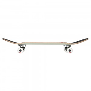 skateboard_completo_globe_goodstock_sage_green_9_0_4