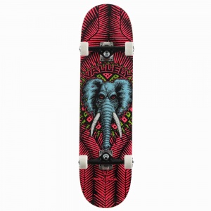 skateboard_completo_powell_peralta_vallely_elephant_birch_pink_8_25_1